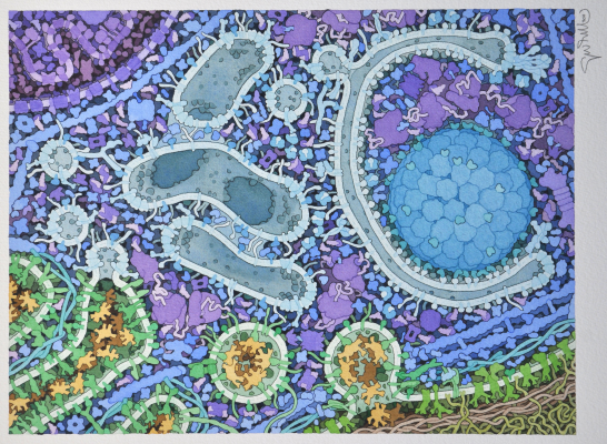 Website Image